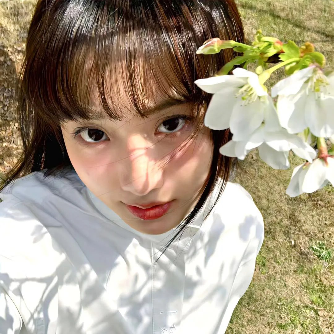 远去的飞鹰